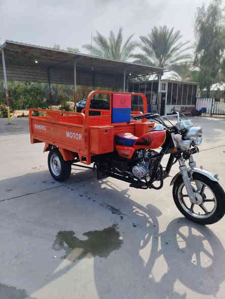 اسلام عليكم ستوته البيع مديل خمسه وعشرين وكيلهه بلاال السعر 2وستميه وبيهه مجال الشراي بي خير ويدال ماكني قرب العلويه شريفه بنت  الحسن هاذء رقمي للتواصل ***********
