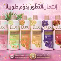 درزن • ١٢ قطعة • سنغافورة