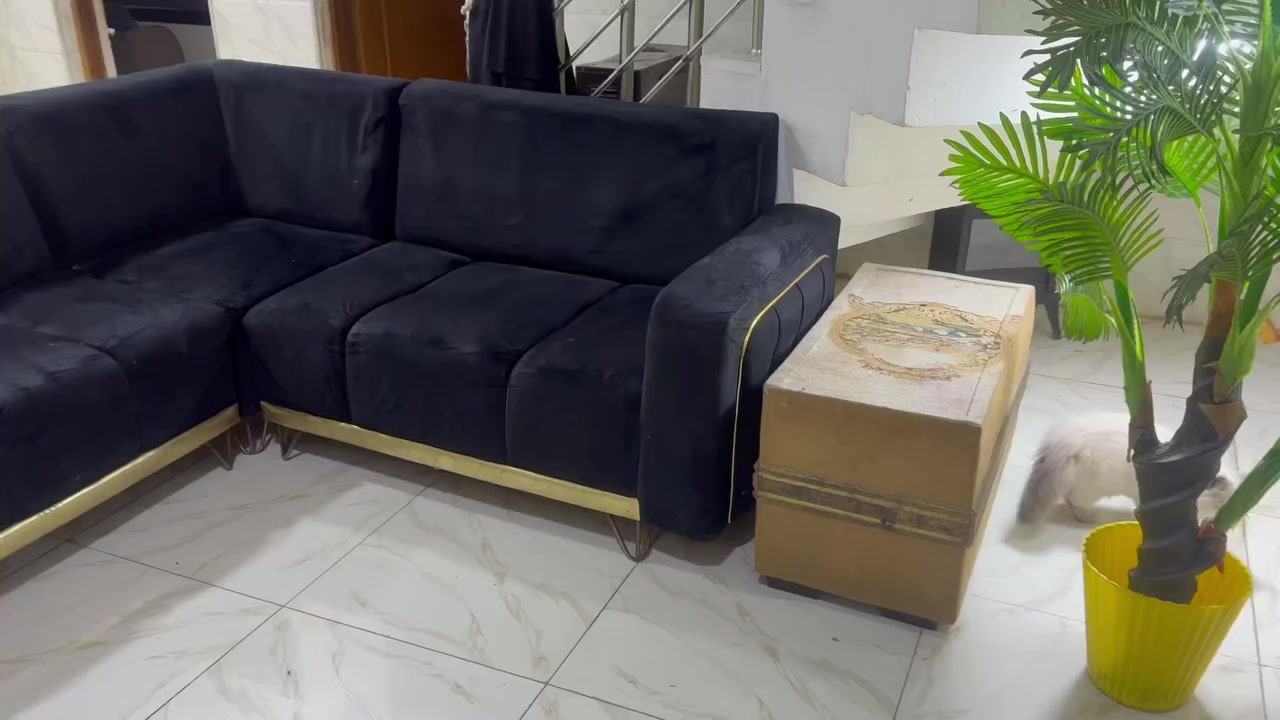 رئاسه الامين حي المعلمين
للبيع. المبرده ١٥٠والتخم ١٢٥والكاونتر ب مليونين. وبي مجال


**إذا كنت صاحب هذا الإعلان وتريد حذفه لأي سبب، رجاءا أرسل رسالة إلى الدعم الفني**