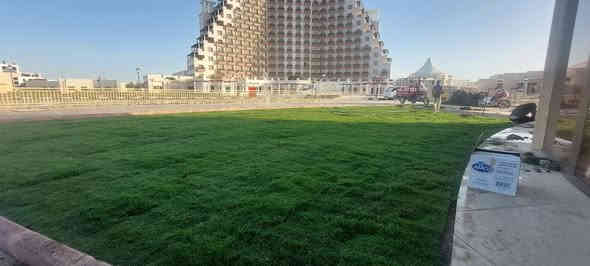 يتوفر لدينا ثيل هندي درجة وسط يتحمل درجات الحرارة العاليه واشعة الشمس المباشره للحجز والاستفسار الاتصال على الرقم *********** جاسم الخليفاوي العنوان الخالديه شارع العام مقابل بلديه الخالديه.
