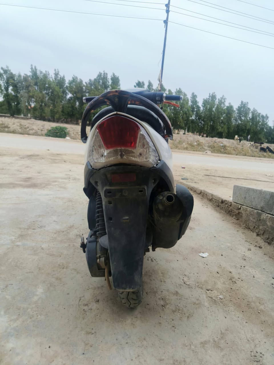 ماكس للبيع غراضها كامله كهربائيات مكينه كفرات اشاير بك لايت قفل ستيرن كله شغال السعر خاص


**إذا كنت صاحب هذا الإعلان وتريد حذفه لأي سبب، رجاءا أرسل رسالة إلى الدعم الفني**