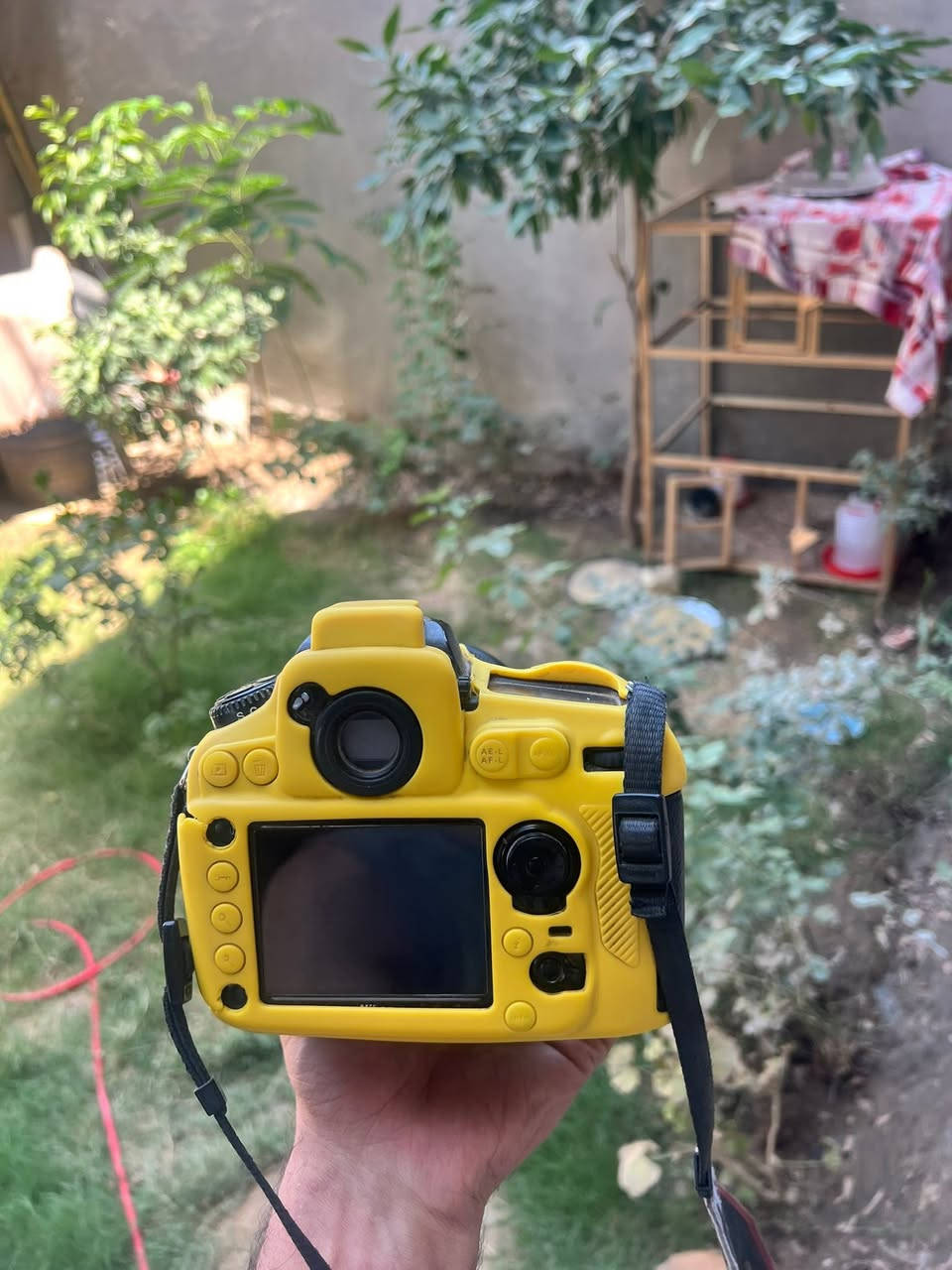 كاميرا نيكون D810
عدسة سيكما 85 فتحه 1.4
***********
العنوان حله
