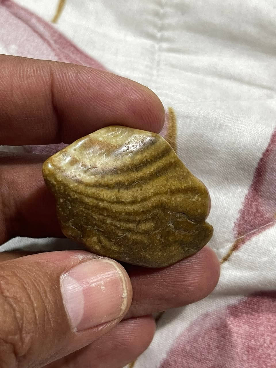 عطفه سومريه قديمه جدا مصوره للبيع تفاصيل خاص مصوره رجل وامراه


**إذا كنت صاحب هذا الإعلان وتريد حذفه لأي سبب، رجاءا أرسل رسالة إلى الدعم الفني**