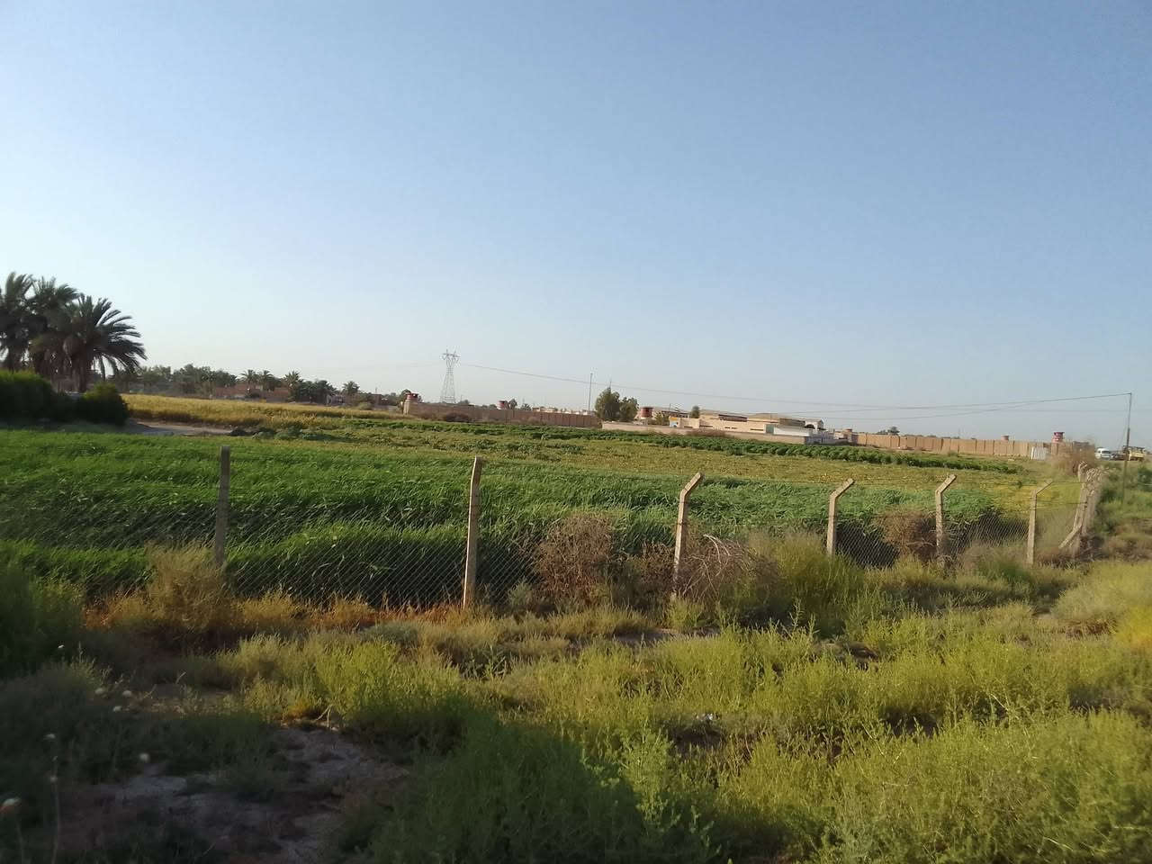 اربع دوانم ركن طابو صرف زراعي سند 25 رضوانيه الشرقيه دور قطاع 15
للاستفسار

*********** 
***********
