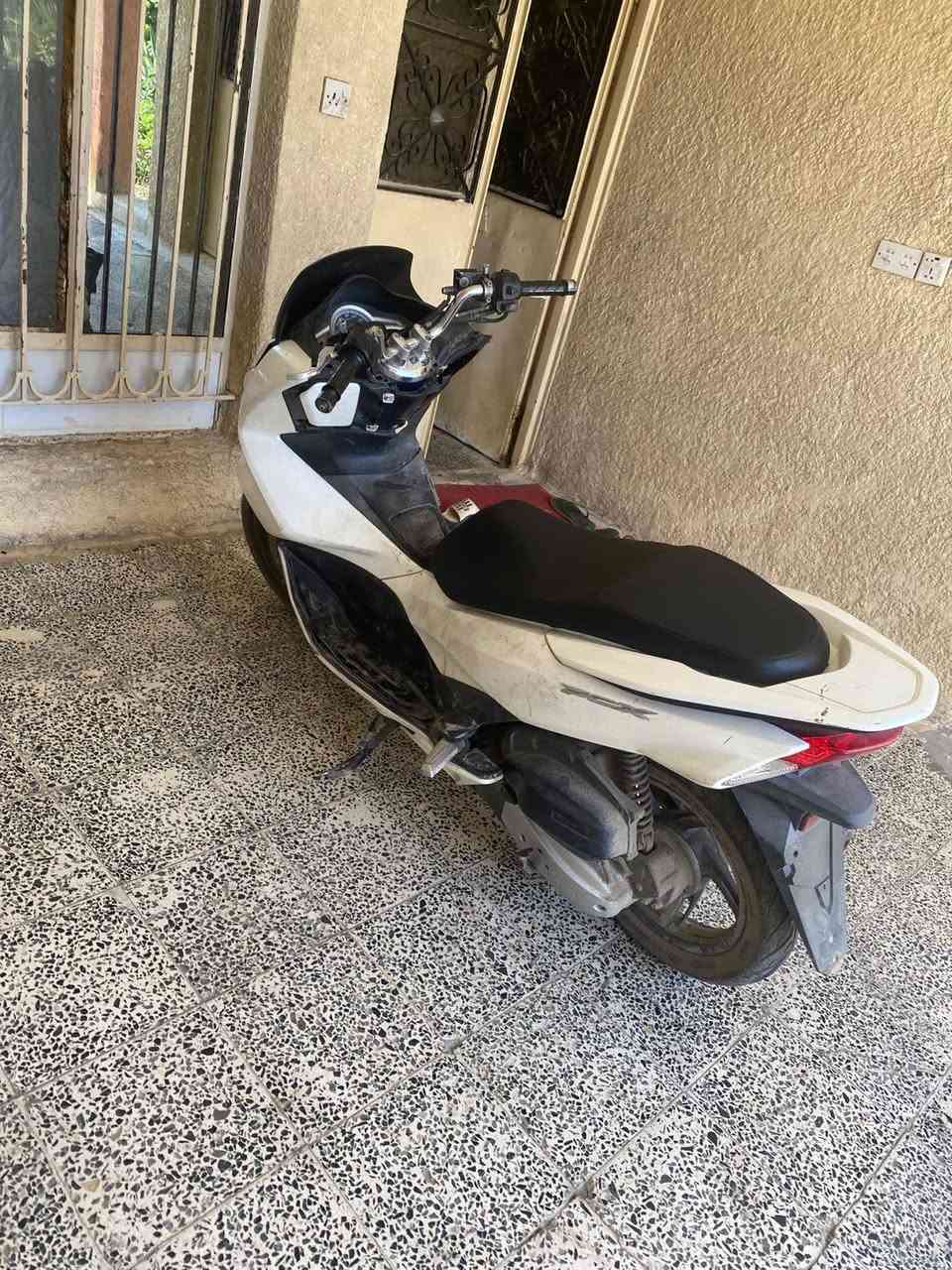 ماليزي جيل ثاني مدينه صدر الورفلي رقم ***********
