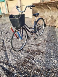 بايسكل • ٢٧ • الشرقاط الخضرانيه