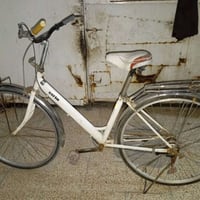 باسكيل • ٢٧ • بعقوبه التحرير