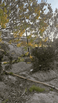 السلام عليكم
بستان وبيت 7 دونم 
ملك صرف سند مستقل شرط التحويل 
بغداد سلمان باك بداية الخناسة 
بيت كامل ومؤثث بناء درجة اولى 
2 غرفه واستقبال ومطبخ حديقة وكراج جاهز من كلشي 
مولد حجم كبير واضح بالتصوير 
بير ماء خاص بالبستان 
مي سقي من الشط 
انواع الحمضيات والنخيل 
للاستفسار اكثر 
***********
