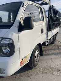 فحل 18 • تحويل مباشر • كفالة