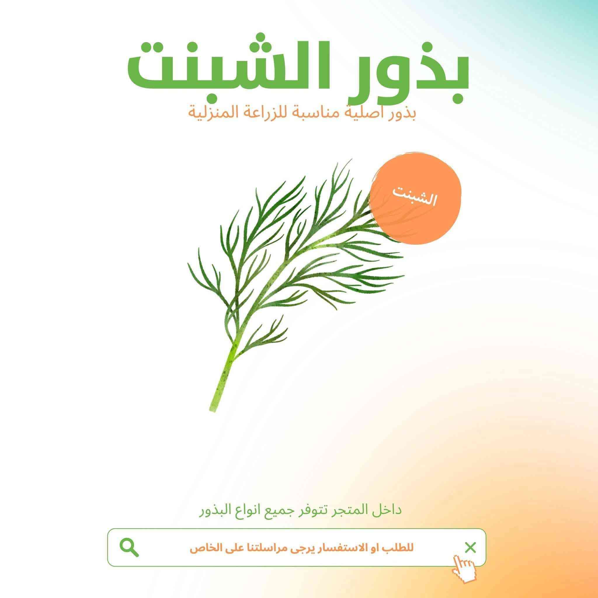 بذور ورقيات بسعر 3 آلاف


**إذا كنت صاحب هذا الإعلان وتريد حذفه لأي سبب، رجاءا أرسل رسالة إلى الدعم الفني**