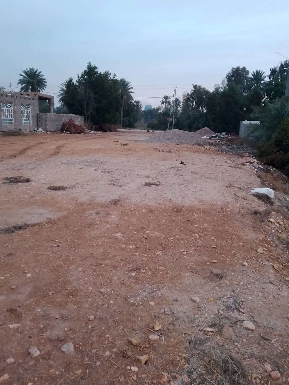 سلام عليكم.....
ارض زراعية للبيع المساحه 6 آلة ربع  بيها عرصة مدفونه دونم المكان   النجف ناحية الحرية للاستفسار الاتصال 
***********
