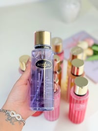 سبلاش • جسم وشعر • توصيل