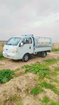 كيا • نضيفه • صلاح الدين