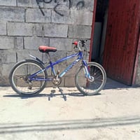 باسكل • حجم ٢٢ • ياباني