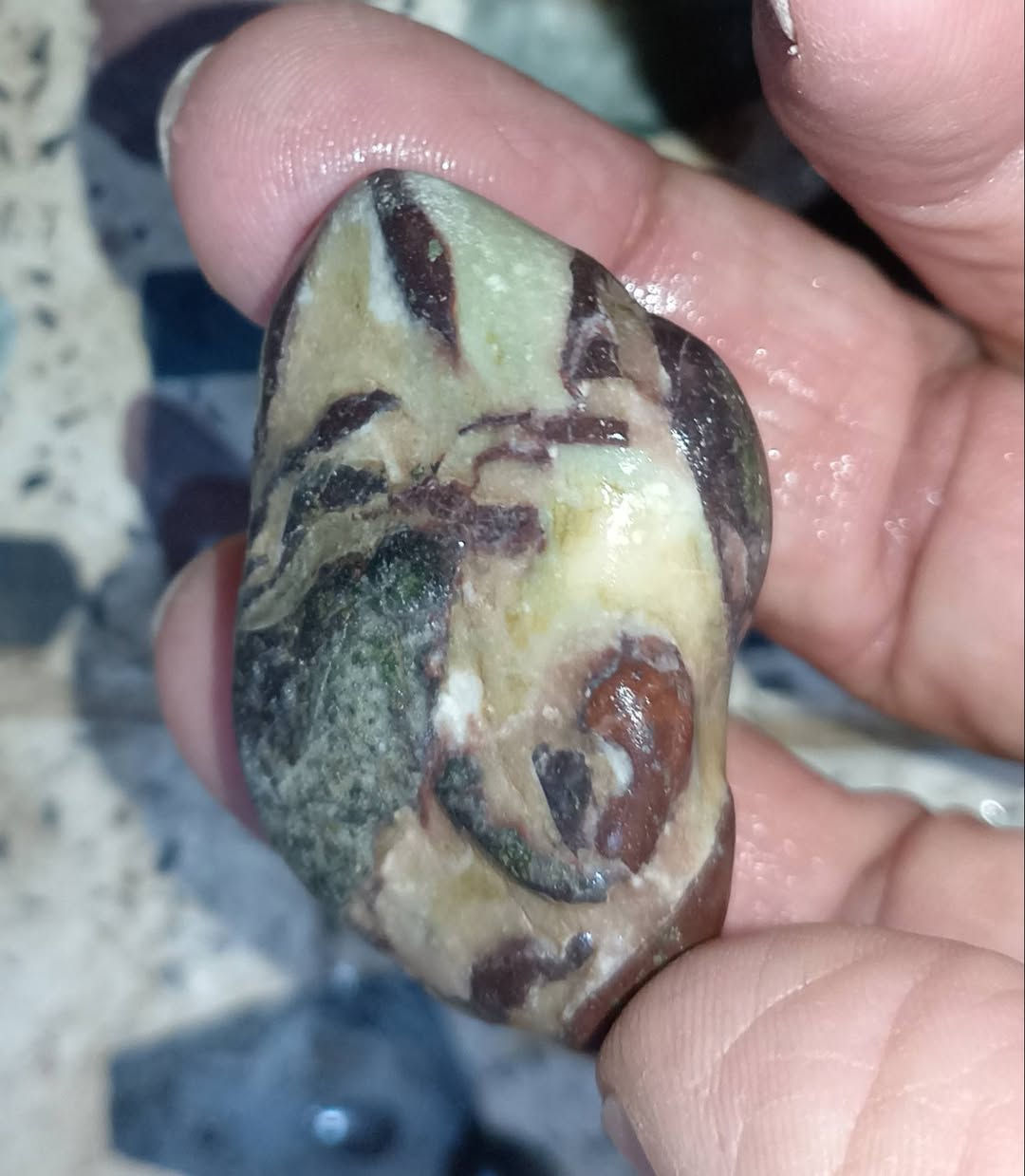 حجر له عدة صور


**إذا كنت صاحب هذا الإعلان وتريد حذفه لأي سبب، رجاءا أرسل رسالة إلى الدعم الفني**