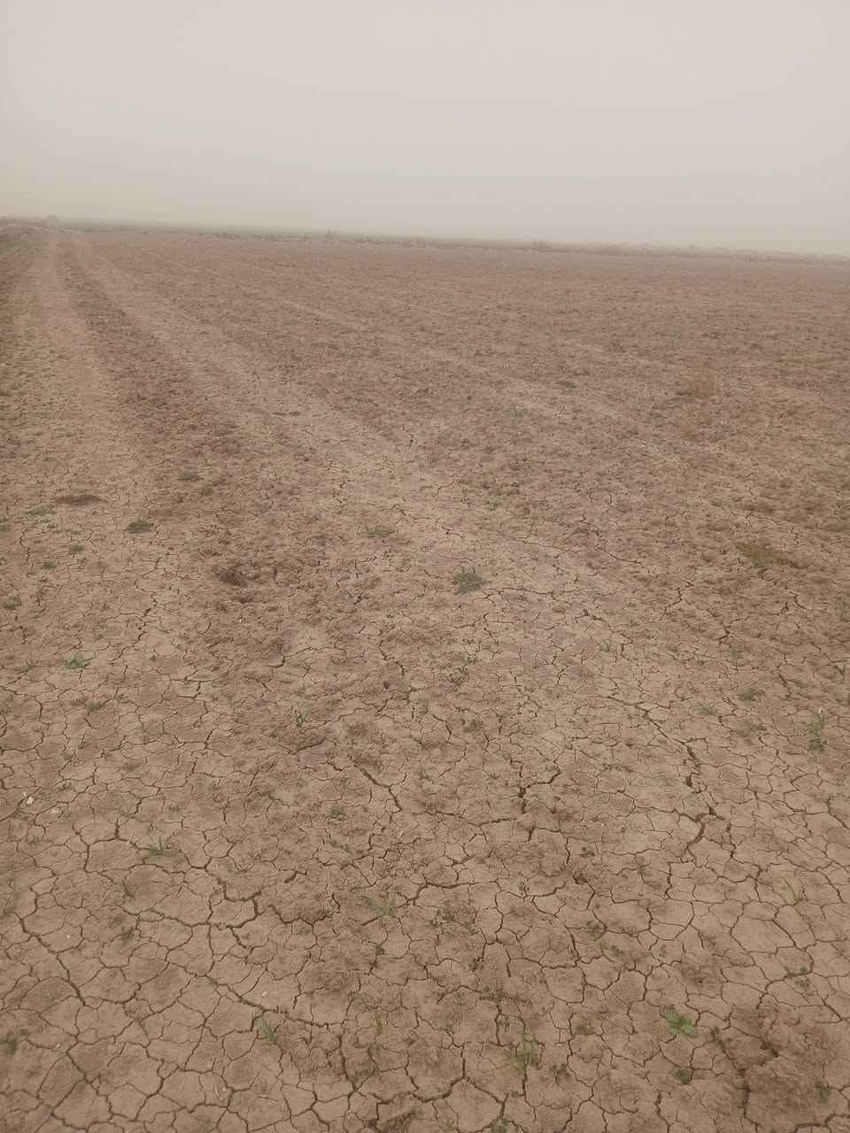 السلام عليكم للبيع ٢٠ دونم سند ٢٤ العقد الجديد ارض مستصلحه المي قنوات مبطنه مكانه الصويره قرب مشروع كصيبه تلفون*********** سعر الدونم مليونين
