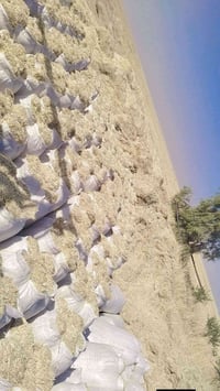 تبن • ٥٥ كيس • توصيل شرقاط