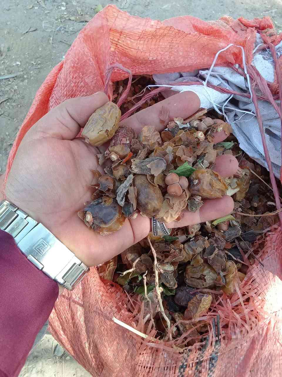 يوجد علف السعر 300للطن مكاني بغداد الراشديه ***********
