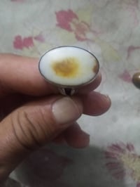 بغداد • سعر يختلف