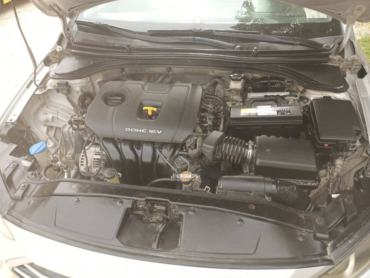 السلام عليكم
هونداي النترا ٢٠١٨وارد امريكي محرك 2000 دوش حره  بسمي السيارة  جاملغ امامي  مبدل  بنيد   مبدل  سيارة  شاشة كامره دواره  ويل كب  تحكم استيرن   ثلاث انضمه قياده السياره
ملزم بالاصوليات والغرامه والعيب الشرعي والتحويل
 مكاني ناصريه  ***********
‏‪***********‬‏
