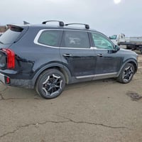 تيلورايد S • ٢٠٢٤ • مزاد