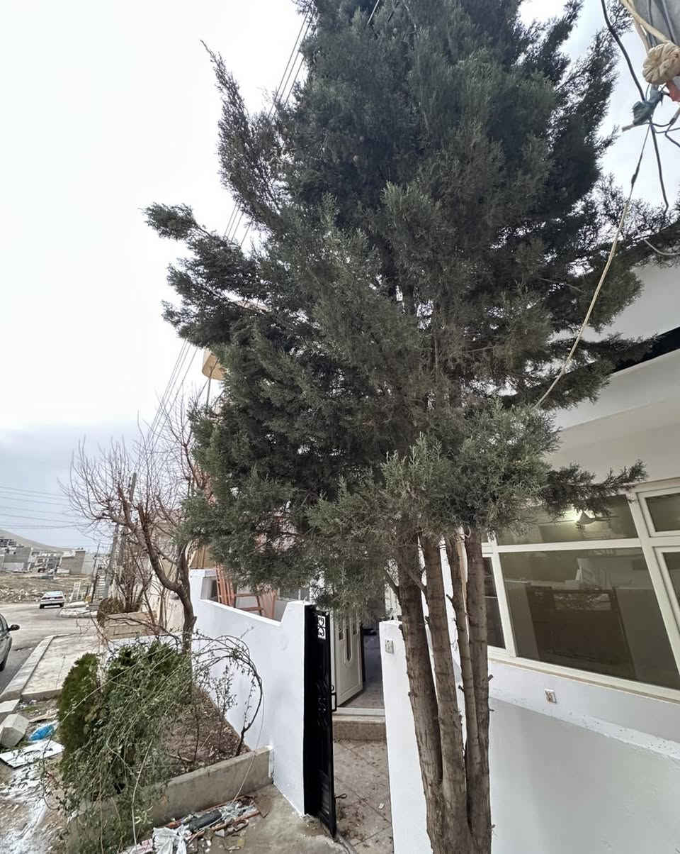 سەرەتا بەناوی خودا 
کۆدی/10910
خانوو بۆ فرۆشتن"یان گۆڕینەوە بە موڵکی تر  
📍ناونیشان/ پشت  مزگەوتی فەجر"نزیک مارکێتی بەرەکەت
📐ڕوبەر / 100 مەتر
📏پێشی/ 10 بە 10
🛣️شەقامی/ 15 مەتر
🌕 ڕوو / گۆیژە
🏗️پێکهاتوەلە/ 1 نهۆم  
نهۆمی یەکەم  ( میوان + متبخ + مشتملات + 1نوستن + 2ژوری ژێرزەمین ) 

تێبینی ( خانوەکە لەشوێنێکی زۆر خۆش دایە نزیک مزگەوت و قوتاب خانە و خەتی پاس  و مارکێت )
ئاڵو گۆڕ دەکات لەگەڵ موڵكی تر"شوقە+خانوو "زەوی "باخ
ــــــــــــــــــــــ
🖊️/ بۆ زانینی نرخ  کۆمێنت بکە 
ــــــــــــــــــــــــ
بۆ پەیوەندی📞
☎️***********
☎️***********
ـــــــــــــــــــــــــــ
تۆی بەڕێز موڵکت هەیە دەتەوێت بیفڕۆشیت یان بیدەیت بەکرێ زانیاریەکانمان بۆ بنێرە هاوکارتان دەبین 
‏‎*********** ☎️واتس ئاپ"فایبەر 
‏‎یان سەردانی نوسینگەی(جوانی موڵك)بكەن
‏‎ناونیشان"ئیبراهیم ئەحمەد"بەرامبەر دیلان سیتی
