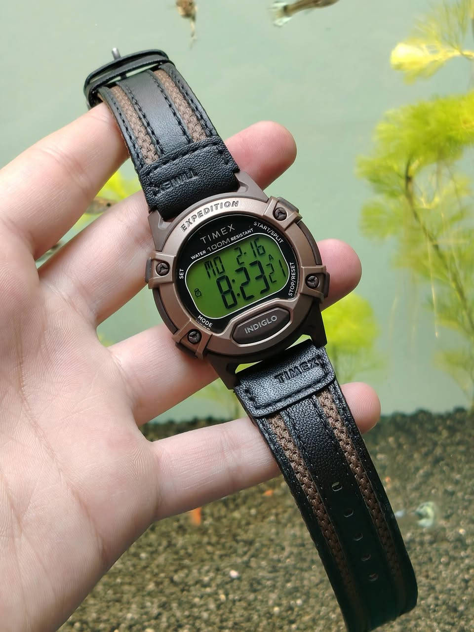 السلام عليكم 

ساعة تايمكس إكسبيديشن كات أصلي جديد

° الوصف
• تم تصميم هذه الساعة الرقمية بتحمل قسوة الاستخدام اليومي و هي ذات مقاومة ممتازة للماء وكذالك الشكل الكلاسيكي الهادئ .

° المعلومات الأساسية 
• القطر 41 مم
• إضاءة داخلية   
• مؤقت العد التنازلي 
• تقويم الشهر واليوم 
• كرونوغراف لمدة 100 ساعة 
• ثلاث منبهات يومية 
• وقت عسكري 24 ساعة
• مناطق زمنية 2
•  عدسة أكريليك 
• شاشة فسفوري الأخضر   
• مقاومة للماء إلى 100 متر 
• سوار كتان و جلد 

جميع الساعات اصلية معا ضمان🤍.

عنوان: - بغداد - مدينة الصدر ـ الأورفلي 
توصيل لجميع المحافظات 
التواصل واتساب *********** 🤍.
