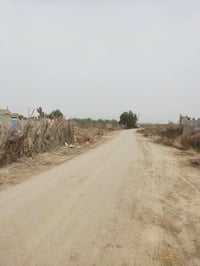 گرمه بني سعيد • بستان ١٨٥٠م • ٦٣ نخلة