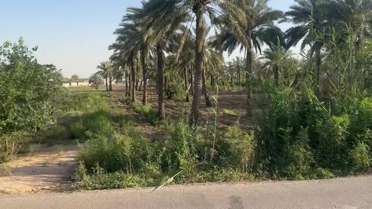 السلام عليكم 

دوانم ملك طابو صرف تحويل سند 

الموقع /بغداد الدوره عرب جبور 
قرب مزرعه شفيق المعجون 

المساحه 17500 /(7) دونم

الواجهه 45م بالنزال

*********** ابو علي
*********** ابو فهد
