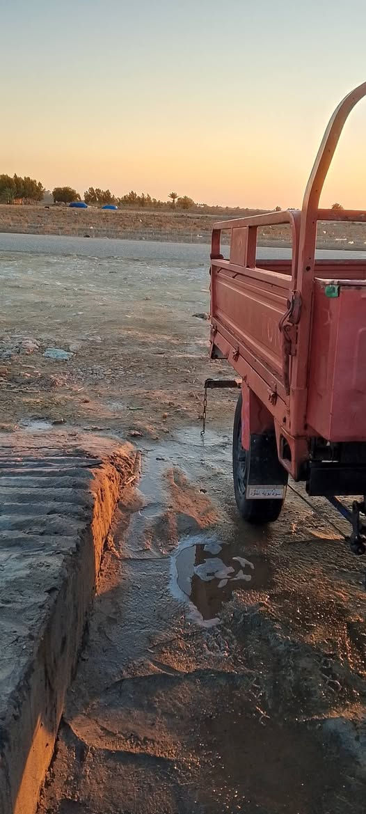 سلام عليكم ستوته للبيع مكان شوملي  سعر الستوته 800 مكان شوملي ستوته مال جناي رقم الهاتف ***********
