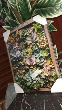 لوحة ورد • ديكور منزلي • مستعمل