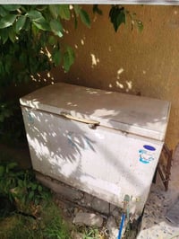 مجمدة • حجم كبير • عاطله