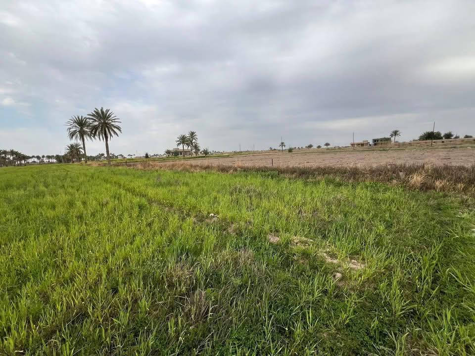 سلام عليكم
دونم و 800 متر في السجر قريب على جدول على سليمان وجدول الصب طابو زراعي سند 25 بيه مي وكهرباء. وكلشي كامل بيه
***********
