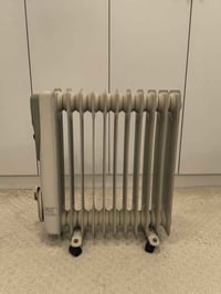 صوبة زيتية • ١١ ريشة • اربيل