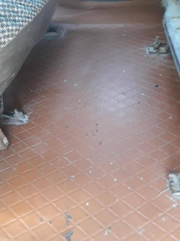 السلام عليكم كيه مديل 94رقم قادسيه مكيه وكير وحداديه وتخم تاير شاصي مكفول مكان سياره بابل القاسم 
15قفل 
***********
