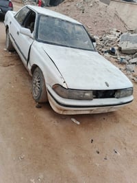 مارك كصيف • رقم نجف • الزبير