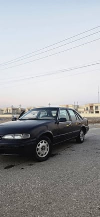 برنس • ١٩٩٤ • مشروع وطني