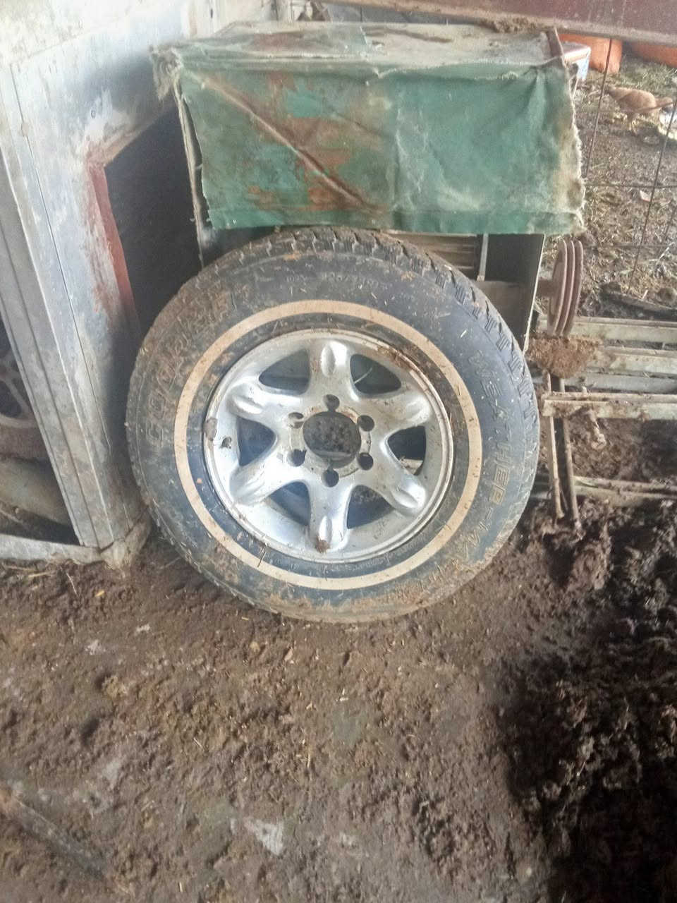 سلام عليكم تاير ويل مال بيكم كنو 2012البيع مكان بغداد وهاذ رقم صاحبه ***********
