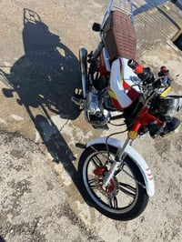 سيفان ٢٠٢٤ • أوراق كاملة • ديالى كنعان