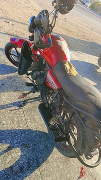 دايوان فحل • ٢٠٢٠ • جبلي