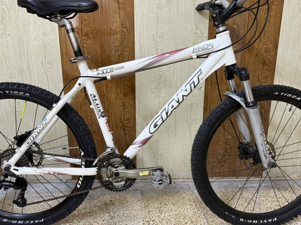 دراجة هوائية GIANT  (Xtc)850

قياس 26 

المعدن ألمنيوم 

قياس الفريم M مديم 48cm

البريكات هدروليك دسك بريك 

المكينة 3/8

التايرات كتان طخم شريكة TIOGA

عقرب شيمانو ديور 

الدراجة ترهم على طول من (175-190)cm 
مثل ما مكتوب على فريم 

السعر 200 ألف دينار 

عنوان المحل موصل أيمن تقاطع شارع كنيسة الساعة🚴🚴🏻‍♂️

يوجد توصيل 🚚 كافة محافظات العراق 🇮🇶 

☎️***********
📞***********
