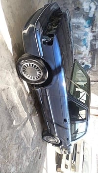 ورشت صبغ • الزبير