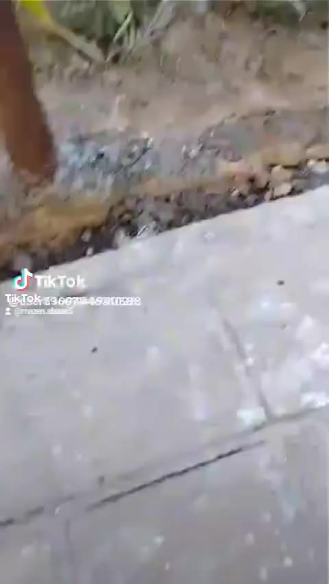 مستعدون العمل المحجر الحدائق8 ***********
