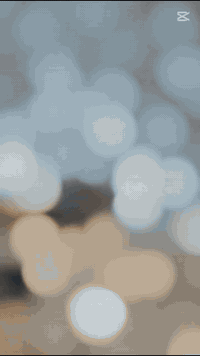 السلام عليكم ورحمه الله وبركاته
#شفل #كاوسكي#للبيع

موديل 85 #رقم بغداد السعر 220 ورقة وبيه مجال واي استفسار هذه الرقم الهاتف ***********  #واتحياتي للجميع
