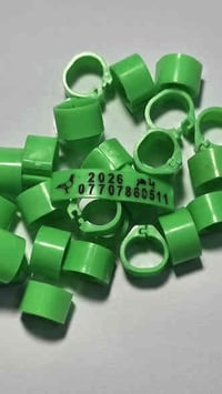 متاح عمل حجول حفر | فافون وبلاستك  (1) سعر ال 100 حجل ب13الف توصيل مجا...