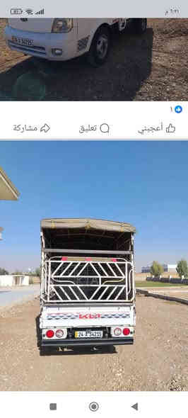 قباعية جنج للبيع هيه وجادرها السعر 300 وبيها مجال//***********
