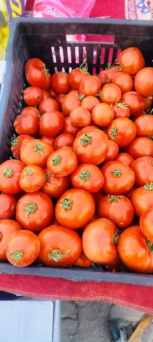 سلام علیکم ✋ وصل وجبة من عصير طبيعي 
رمان و زبيب وقيسي وتمر هندي 
سعر بطل لتر واحد 
1500
طماطة 1000 
فطر 🍄 علبه 1250
بصل 750  
🔴 يوجد توصيل مجاني داخل داقوق


**إذا كنت صاحب هذا الإعلان وتريد حذفه لأي سبب، رجاءا أرسل رسالة إلى الدعم الفني**