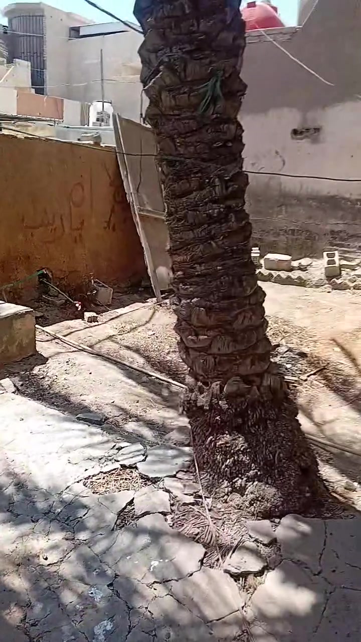 دار للبيع منطقة الدخل المحدود ٢٢٤ م السعر ١٤٠ مليون ***********@
