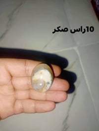 محابس بيهن فضه  كلمن وسعره للحجز مراسله على واتساب ‏‪07764136708