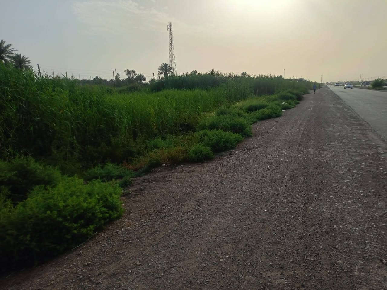 🌴 للبيع أرض زراعية مميزة 🌴

📍 الموقع: واسط – العزيزية
🛣️ طريق بغداد / العزيزية
✅ الواجهة مقابل الشارع العام مباشرة

📐 المساحة: ١١ دونم
📄 النوع: طابو زراعي رسمي
🌴 تحتوي على بساتين نخيل مثمرة
💧⚡ الخدمات متوفرة بالكامل (ماء وكهرباء)

✅ الأرض صالحة للزراعة والاستثمار والسكن الزراعي
✅ موقع ممتاز وحيوي وقريب على الخدمات

للاستفسار والتواصل على الخاص أو الاتصال:[. ***********        ]
